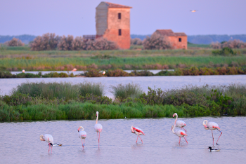 Intervento di Silvano Dalpasso in qualità di rappresentante dell’ASSURB e del Manifesto per il Po al Convegno di studi Itinerari scientifico-tecnologici nel Delta del Po – Attività antropiche e uso del territorio – Prospettive future tra sviluppo e sostenibilità, tenutosi a Ferrara il 20 giugno 2019 su iniziativa dell’Accademia delle Scienze dell’Istituto di Bologna e della Rete Alta Tecnologia Emilia-Romagna – Tecnopolo Ferrara.